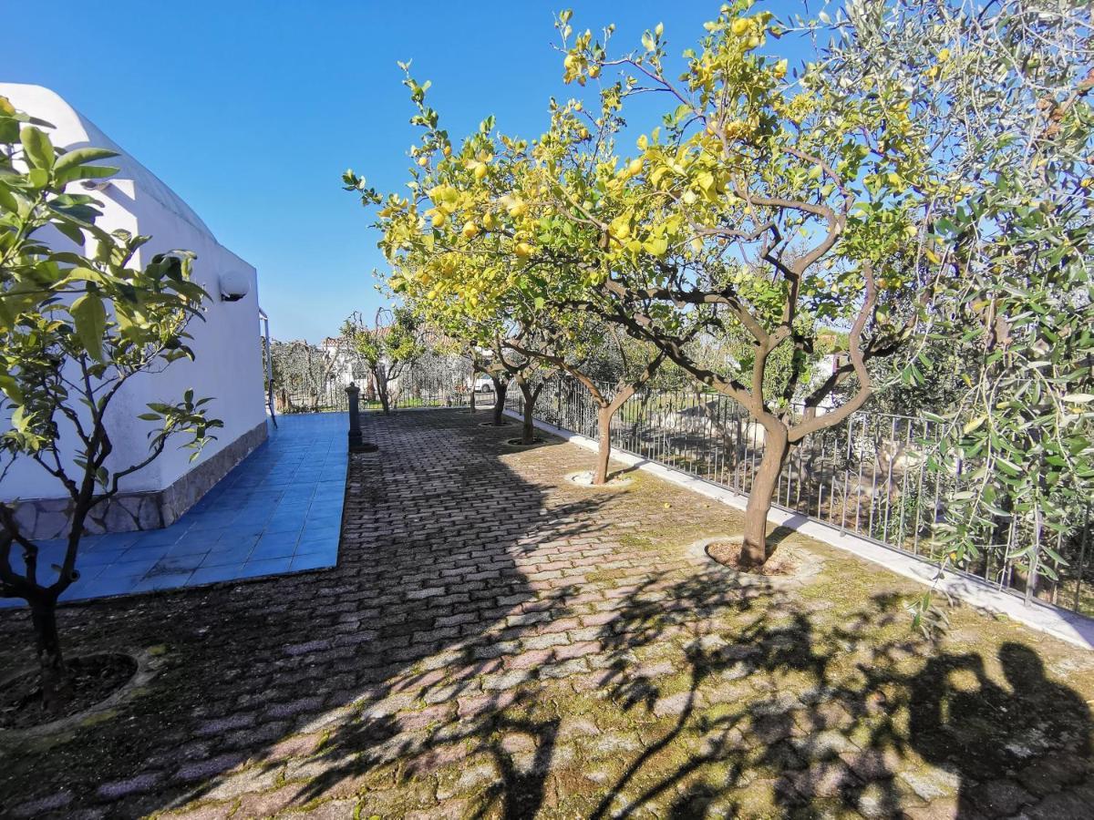 Tenuta Solleone Peschici Exterior photo